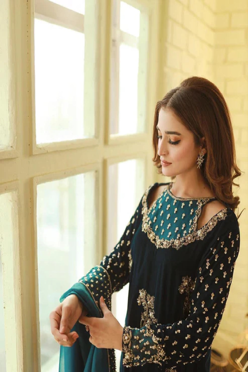 Afrozeh Luxury Formals Velvet Collection'24 - TC-1049