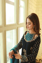 Afrozeh Luxury Formals Velvet Collection'24 - TC-1049