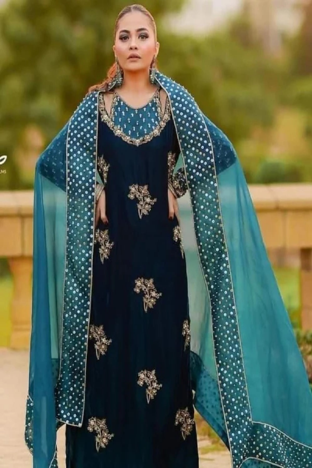 Afrozeh Luxury Formals Velvet Collection'24 - TC-1049