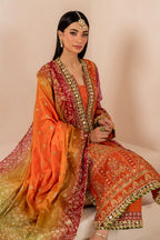 Baroque SF-706 Luxury Embroidered Chiffon Edit'26 - TC-1748