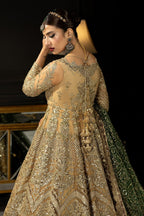 Andaaz-e-Khaas by Imrozia Premium Embroidered Net Maxi | IB-43 Diya - TC-1815