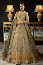 Andaaz-e-Khaas by Imrozia Premium Embroidered Net Maxi | IB-43 Diya - TC-1815