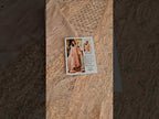 Maria.B. Luxury Formal Chiffon Edition'26 - MCS-26-104 - TC-1786